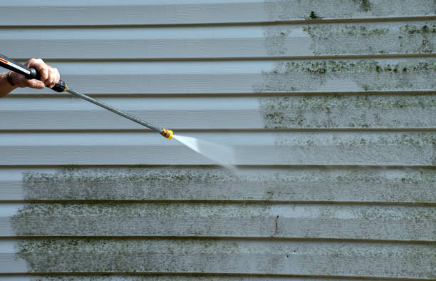 Best Driveway Pressure Washing  in Lafayette, IN